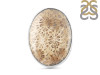 Fossilized Coral Adjustable Ring-ADJ-R FSC-2-4
