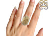 Fossilized Coral Adjustable Ring-ADJ-R FSC-2-46