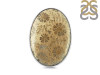 Fossilized Coral Adjustable Ring-ADJ-R FSC-2-46