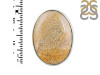 Fossilized Coral Adjustable Ring-ADJ-R FSC-2-56