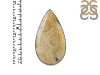 Fossilized Coral Adjustable Ring-ADJ-R FSC-2-69