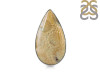 Fossilized Coral Adjustable Ring-ADJ-R FSC-2-69