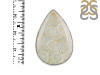 Fossilized Coral Adjustable Ring-ADJ-R FSC-2-72