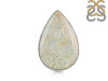 Fossilized Coral Adjustable Ring-ADJ-R FSC-2-72