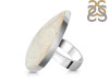 Fossilized Coral Adjustable Ring-ADJ-R FSC-2-72