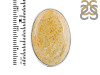 Fossilized Coral Adjustable Ring-ADJ-R FSC-2-77