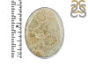 Fossilized Coral Adjustable Ring-ADJ-R FSC-2-79