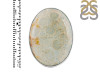 Fossilized Coral Adjustable Ring-ADJ-R FSC-2-81