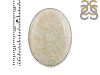 Fossilized Coral Adjustable Ring-ADJ-R FSC-2-86