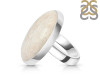 Fossilized Coral Adjustable Ring-ADJ-R FSC-2-86