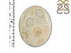 Fossilized Coral Adjustable Ring-ADJ-R FSC-2-90