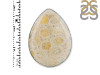 Fossilized Coral Adjustable Ring-ADJ-R FSC-2-92