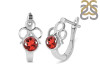 Garnet Stud Earring GAR-RDE-16.