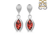 Garnet Earring GAR-RDE-22.