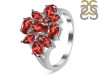 Garnet Ring GAR-RDR-2071.