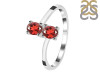 Garnet Ring GAR-RDR-2595.