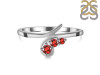Garnet Ring GAR-RDR-2647.