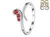 Garnet Ring GAR-RDR-2647.