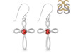 Garnet Earring GAR-RDE-425.