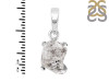 Petroleum Herkimer Diamond Pendant-2SP HDP-1-241