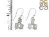 Petroleum Herkimer Diamond Rough Earring-2E HDP-3-12