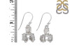 Petroleum Herkimer Diamond Rough Earring-2E HDP-3-13