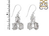 Petroleum Herkimer Diamond Rough Earring-2E HDP-3-136