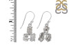 Petroleum Herkimer Diamond Rough Earring-2E HDP-3-14