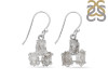 Petroleum Herkimer Diamond Rough Earring-2E HDP-3-18