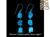 Petroleum Herkimer Diamond Rough Earring-2E HDP-3-194