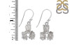 Petroleum Herkimer Diamond Rough Earring-2E HDP-3-20