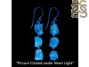 Petroleum Herkimer Diamond Rough Earring-2E HDP-3-209