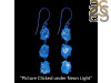 Petroleum Herkimer Diamond Rough Earring-2E HDP-3-210