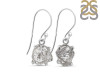 Petroleum Herkimer Diamond Rough Earring-E HDP-3-219