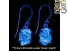 Petroleum Herkimer Diamond Rough Earring-E HDP-3-225