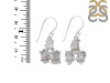 Petroleum Herkimer Diamond Rough Earring-2E HDP-3-24