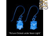 Petroleum Herkimer Diamond Rough Earring-E HDP-3-251