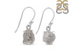 Petroleum Herkimer Diamond Rough Earring-E HDP-3-253
