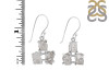 Petroleum Herkimer Diamond Rough Earring-2E HDP-3-27