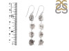 Petroleum Herkimer Diamond Rough Earring-2E HDP-3-296