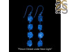 Petroleum Herkimer Diamond Rough Earring-2E HDP-3-298