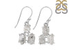 Petroleum Herkimer Diamond Rough Earring-2E HDP-3-3