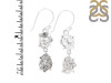 Petroleum Herkimer Diamond Rough Earring-2E HDP-3-322
