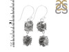 Petroleum Herkimer Diamond Rough Earring-2E HDP-3-354