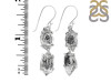 Herkimer Diamond Rough Earring-2E HKD-3-187