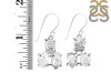 Herkimer Diamond Rough Earring-2E HKD-3-35