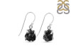 Herkimer Diamond Earring-E HKD-3-398