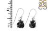 Herkimer Diamond Earring-E HKD-3-398