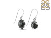 Herkimer Diamond Earring-E HKD-3-406