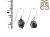 Herkimer Diamond Earring-E HKD-3-406